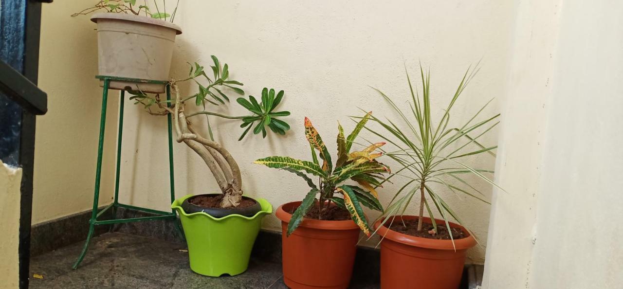 Gopi Homestay Hampi Eksteriør bilde